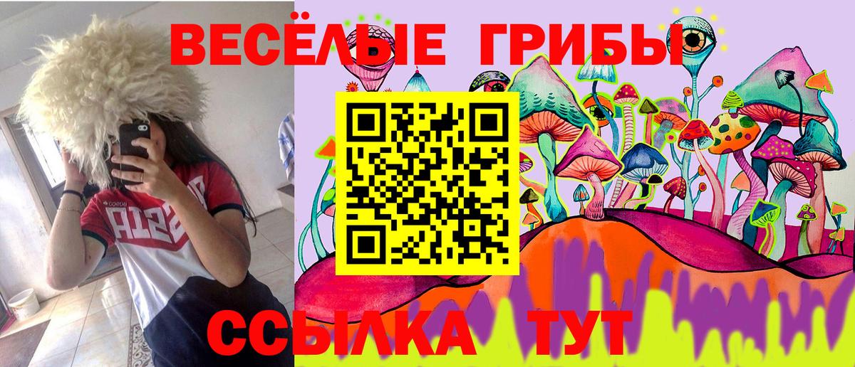 Галлюциногенные грибы Psilocybine cubensis Владивосток