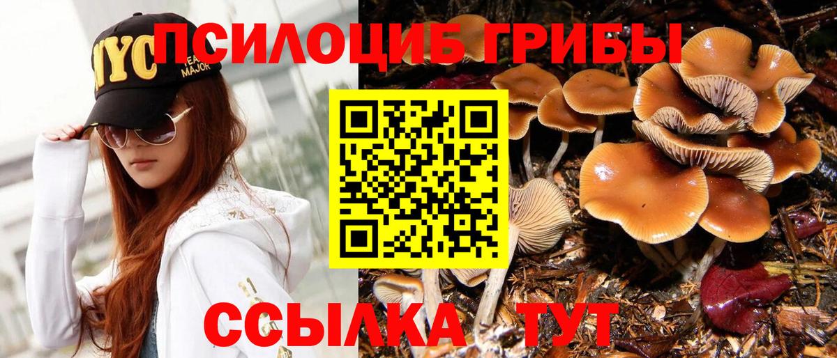 Альфа ПВП Владивосток